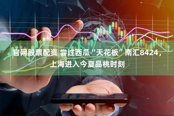 官网股票配资 尝过西瓜“天花板”南汇8424，上海进入今夏品桃时刻