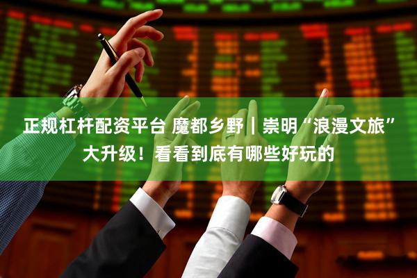 正规杠杆配资平台 魔都乡野｜崇明“浪漫文旅”大升级！看看到底有哪些好玩的