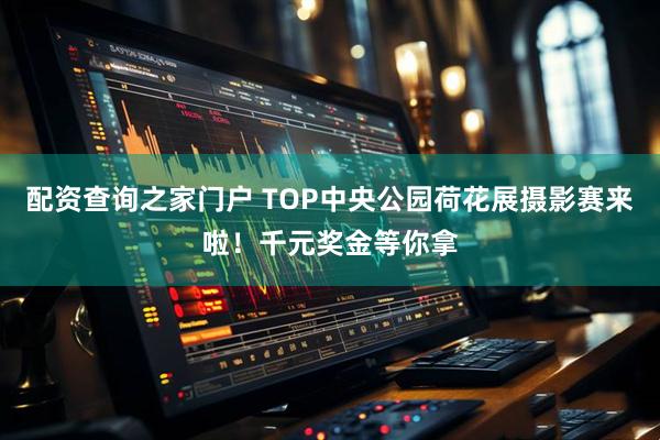 配资查询之家门户 TOP中央公园荷花展摄影赛来啦！千元奖金等你拿